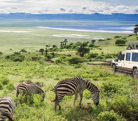 64 jours safari économique en Tanzanie au Serengeti, Tarangire et cratère du Ngorongoro, Tanzanie - Photo 1