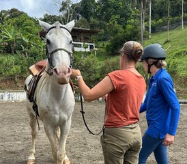 14 Tage Freiheit, Klassische Dressur und Yoga Retreat in Tucurrique, Cartago, Costa Rica - Photo 4