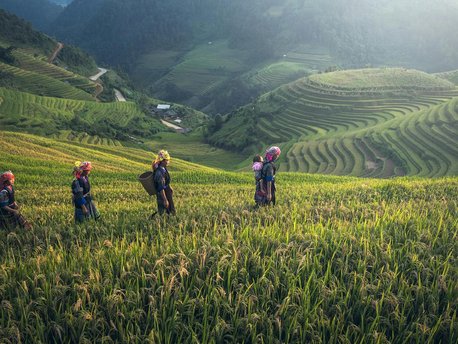 Lao Cai