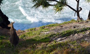 Brisbane Retreats & Trips