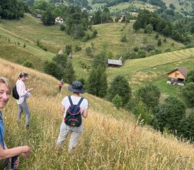 6 Day Yoga and Mindfulness Retreat in the Carpathian mountains, Romania - Photo 3