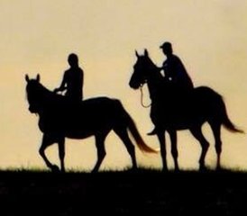 8 Tage Wochen Sternritt: Eine ganze Woche Reiten mitten in der Natur, Łubowo, Polen - Photo 3