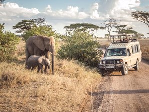  3 Day Safari Crater Tour in Lake Manyara and Tarangire National Park, Tanzania