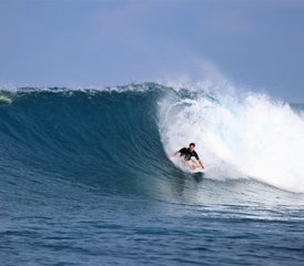 11 Day Mikado (Farms) and Finimas Surf Camp in Thimarafushi, Thaa Central Atolls, Maldives - Photo 5