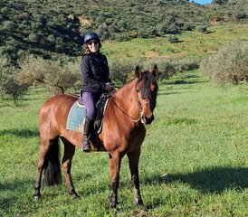3 Day Private 1-1 All-inclusive Heal and Balance, Nature, Yoga and Horses Retreat in Malaga, Spain - Photo 2