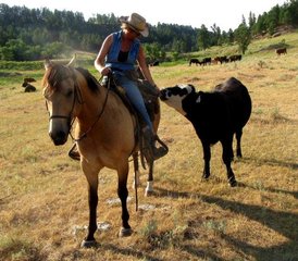8 jours équitation et séjour ranch authentique dans le comté de Crook, Wyoming, USA - Photo 4