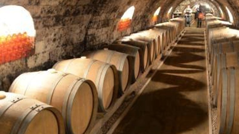 2 Day Tokaj Wine Region The Masters Tour in the Northern Hungary