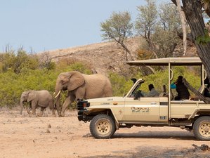 12-Daagse Beste Luxe Begeleide Safari in Namibië