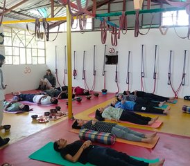 7 Day Sound Healing Training and Yoga Foundation Course in Dharamshala, India - Photo 5