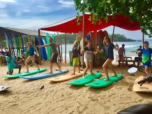 5 Day Yoga and Surf Camp with Temple, Beach, Blow Hall Tours, and Boat Safari in Sri Lanka
