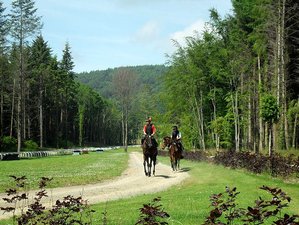 7 Day Luxury Horse Riding Break in Ireland’s Garden County with Whiskey Tasting and Spa Experience