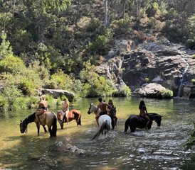 7 Day Galicia Horse Riding Experience: Ride in the Land of Wild Horses in Baiona, Spain - Photo 2
