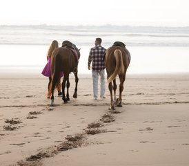 8-Daagse Unieke Kustavontuur en Ruitervakantie in Marokko van Essaouira naar Agadir te Paard - Photo 5