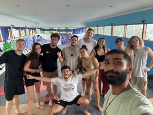 21 Day 200-Hour Yoga Teacher Training in Dharamshala, India