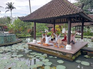 7 Days Yoga, Wellness and Meditation Retreat in Bali, Indonesia