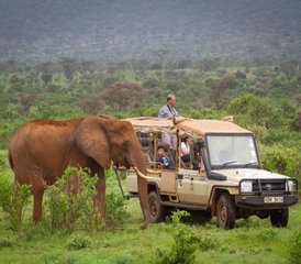 4 jours safari à Samburu et au lac Nakuru, Kenya - Photo 2