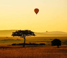 5 días de safari privado de lujo en Kenia por Masái Mara y el lago Nakuru - Photo 5