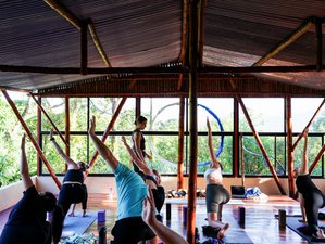 10 Day Rainforest Yoga Holiday in El Castillo, Costa Rica