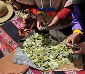 11 Day Master Plant Retreat and Inca Shamanism at Sacred Portals in the Andes, Peru - Photo 4