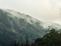 Ardennes Retreats & Trips