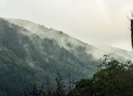 Ardennes Retreats & Trips