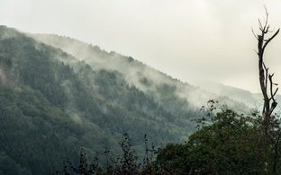Ardennes Retreats & Trips