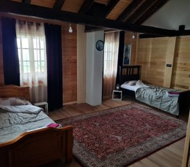 8 Day National Park Tara Trail Horse Riding Tour in Serbia - Photo 3