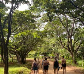7 días de retiro de autocuidado y bienestar para mujeres en la selva de Guanacaste, Costa Rica - Photo 2