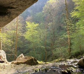 46 Tage im Yoga-Regeneration Retreat Erde & Atem mit Lea in Macaye, Baskenland, Frankreich - Photo 1