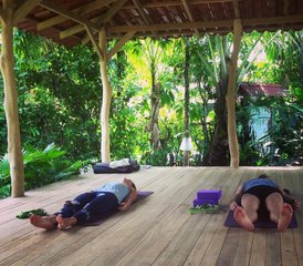 5 jours en formation de professeur de yin yoga privée 30 heures à Puerto Viejo de Talamanca, Limón, Costa Rica - Photo 4