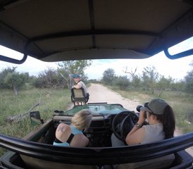 4-Daagse Lodge- en Boomhut-Safari in Balule Nature Reserve en Kruger National Park, Zuid-Afrika - Photo 4