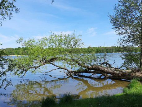 Masuria