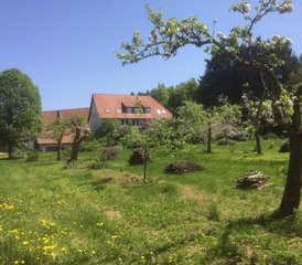 4 Tage „Metta – Liebende Güte“ Stille-Retreat mit Heike in Tuttlingen, Deutschland - Photo 4