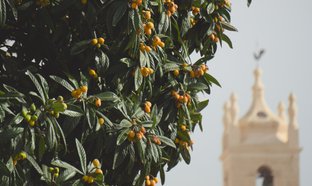 Loulé Retreats und Reisen