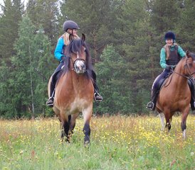 5 Tage Sattel- und Paddel-Reiturlaub in der Schwedischen Lappland, Schweden - Photo 4