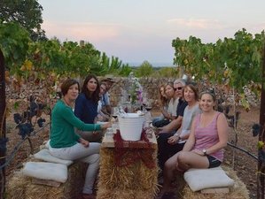 8 Day Culinary Holiday with Peta Mathias in Puglia, Province of Lecce