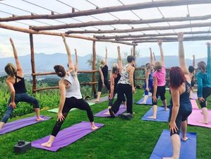 8 Day Yoga Retreat with Suzanne McCahill Perrrine in Tuscany
