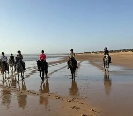 2 Day Into the Wild Horse Riding Holiday: Trail along the Atlantic Coast of Sidi Kaouki, Morocco - Photo 3