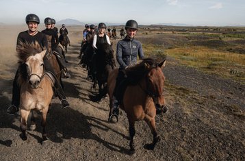 7 jours de séjour équestre Southern Comfort : Golden Circle à Skeiða‑ og Gnúpverjahreppur, Islande