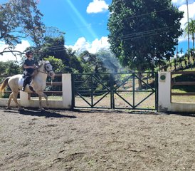 7 Day Riding Course: Natural Horsemanship & Classical Riding Tucurrique, Cartago, Costa Rica - Photo 5