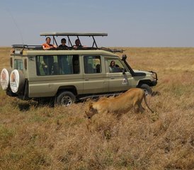 8 días de safari con alojamiento privado en Kenia y Tanzania - Photo 2