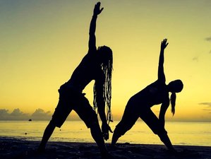 8 Tage „Back to your Roots“ Therapeutisches Yoga und Abenteuer auf einer Karibikinsel
