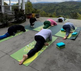 6 Day Luxury Wellness, Yoga, Pilates, Food, and Culture Retreat in Charente, South of France - Photo 3