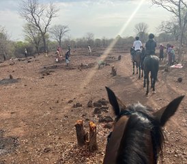 2 Day Private Horse Riding and Rural Holiday Near Victoria Falls, Zimbabwe - Photo 2