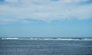 Buritaca Retraites et Voyages