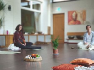 3 Day Truffle Transformation Weekend Retreat with Yoga and Meditation in Nederweert
