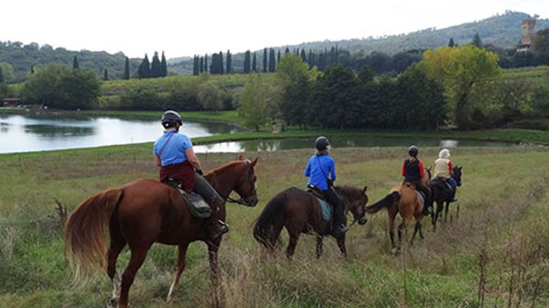 5 Day A Taste of Tuscany Horse Riding Holiday in Province of Arezzo, Tuscany