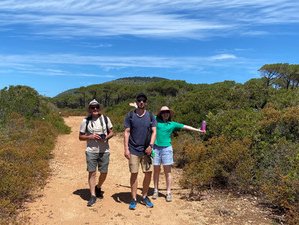 11 Day Blue Zones and Beyond Wellness Retreat in Alghero, Italy with Longevity Workshops