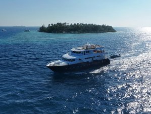 8 días de viaje de surf ligero en Atolón Norte y Atolón Sur de Malé, Maldivas