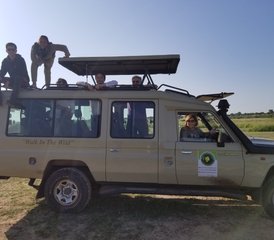 113 jours safari faune à Queen Elizabeth et pistage des chimpanzés, Ouganda - Photo 1